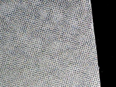 SN34251