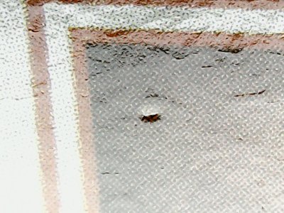 SN34253