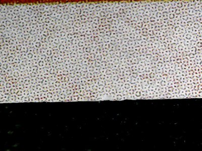 SN34253