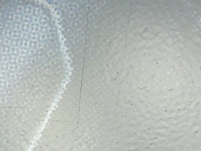 SN34254