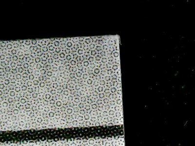SN34245
