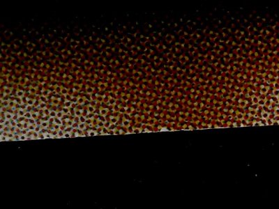 SN34269