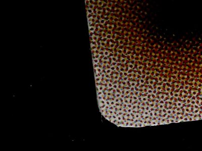 SN34269