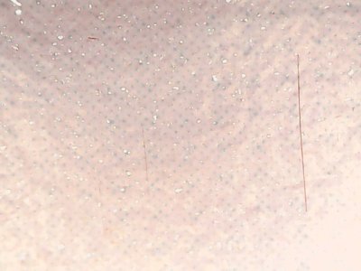 SN34283