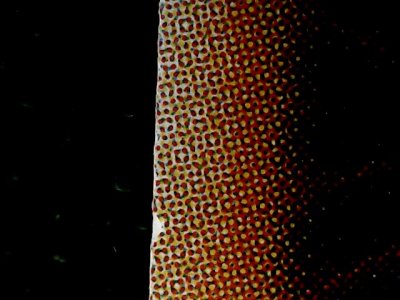 SN34287