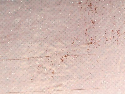 SN34290