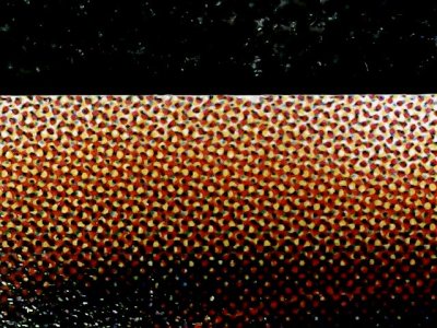 SN34292
