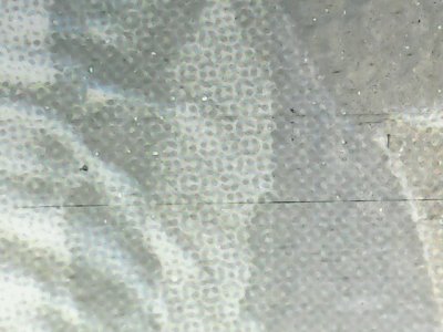 SN34299