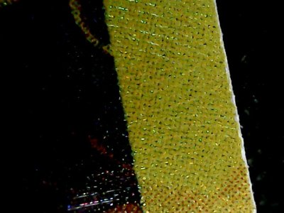SN34307