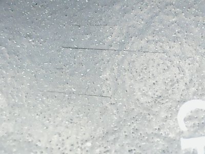 SN34313