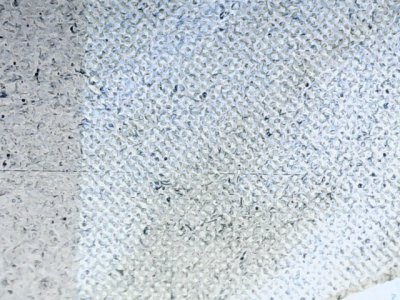 SN34402