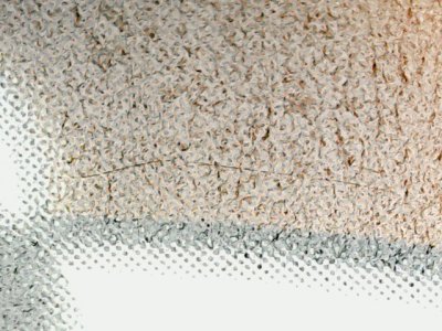 SN34454