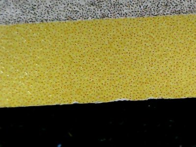 SN34455