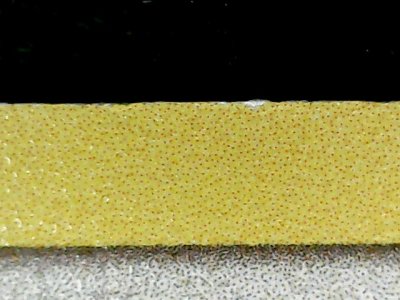 SN34455