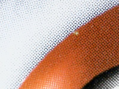 SN34460