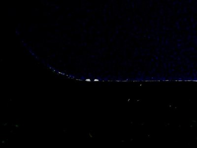 SN34501