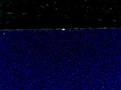 SN34502