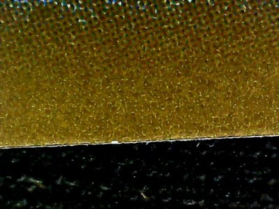 SN34508