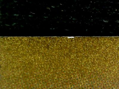SN34513