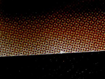 SN34546