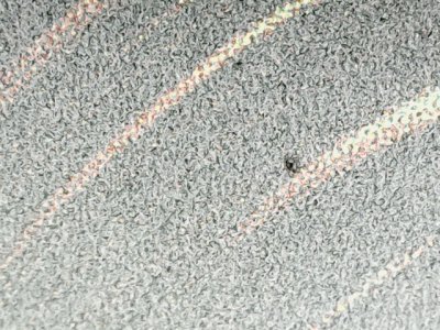 SN34547