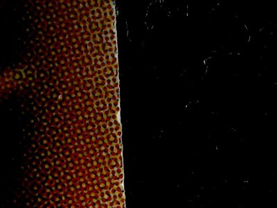 SN34547