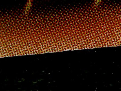 SN34548