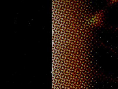 SN34551