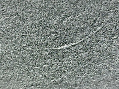 SN34556