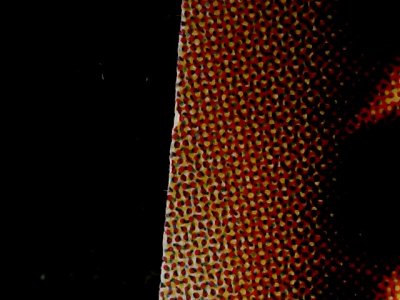 SN34556