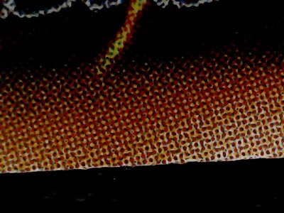 SN34557