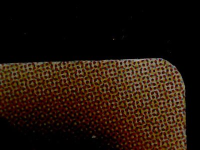 SN34558
