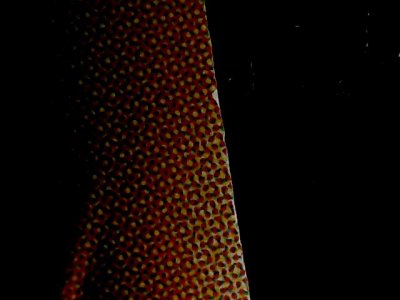 SN34558