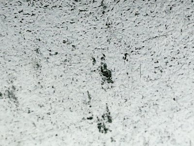 SN34559