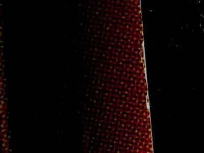 SN34559