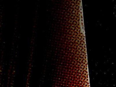SN34559