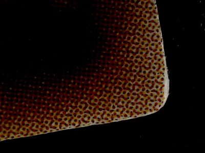SN34559