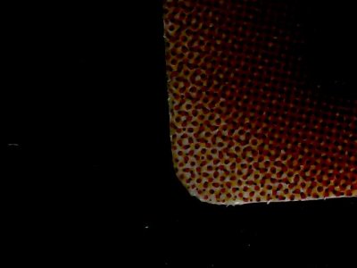SN34559