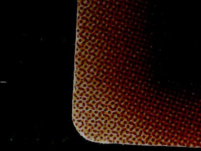 SN34559