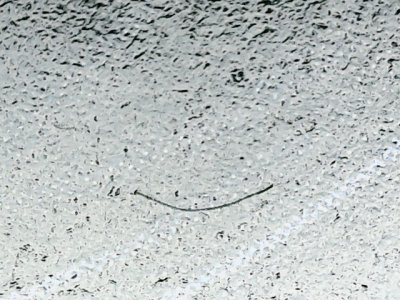 SN34560