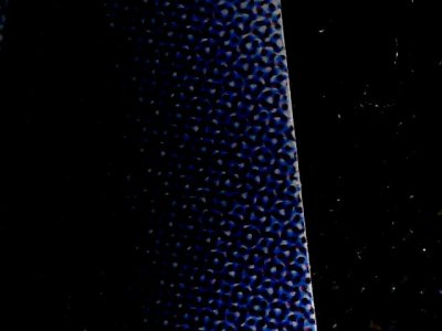 SN34560