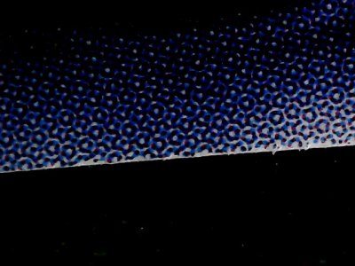 SN34560