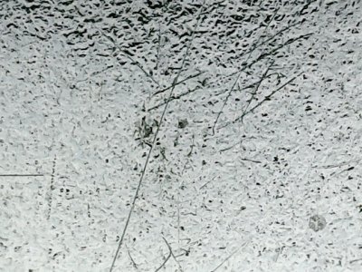 SN34561