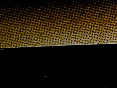 SN34561