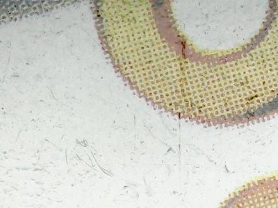 SN34535
