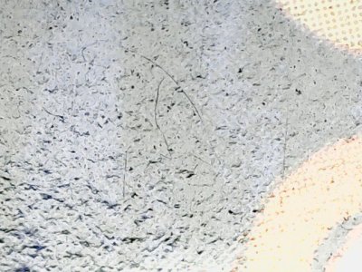 SN34535