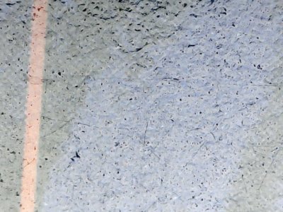 SN34535