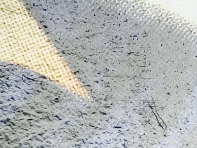 SN34535