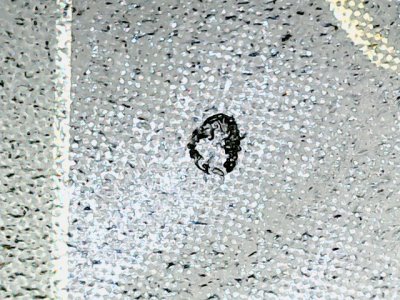 SN34537