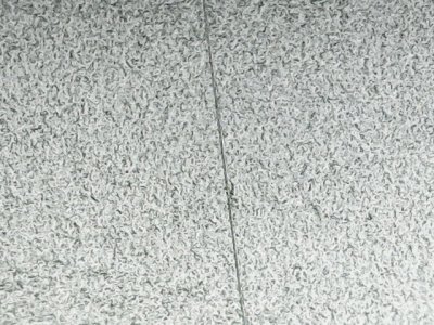 SN34539